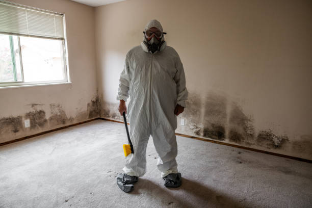 Trusted Stockdale, TX Mold Removal Experts